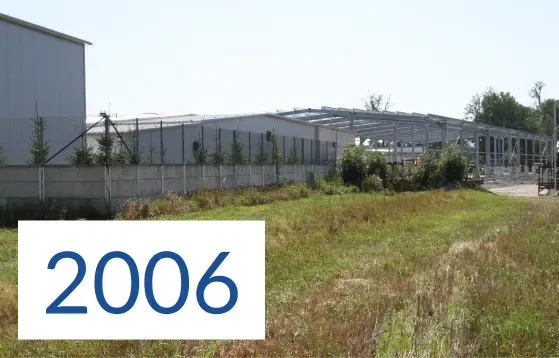 Rok 2006